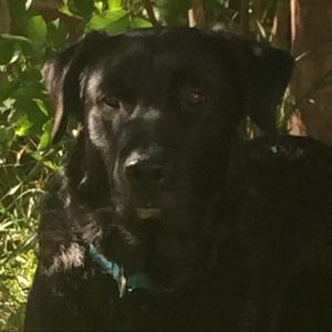 Meet your Posher, Audra